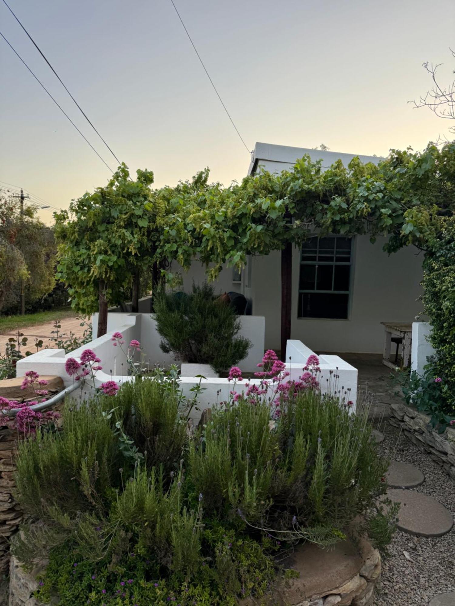 The Karoo Moon House & Cottage 巴里代尔 外观 照片